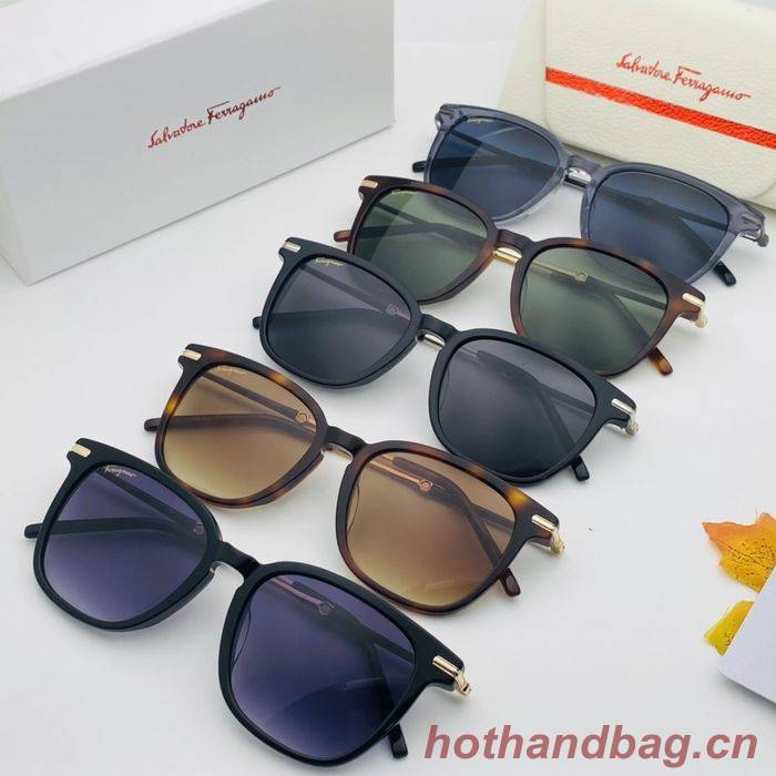 Salvatore Ferragamo Sunglasses Top Quality SFS00184